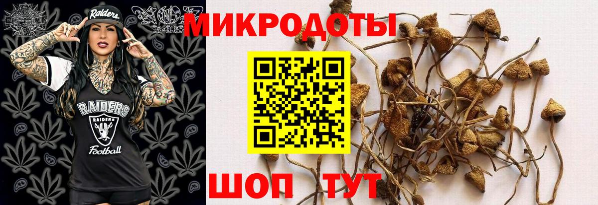 Сочи  Галлюциногенные грибы мухоморы  Вход с VPN  Псилоцибиновые грибы Psilocybe 